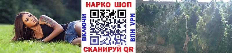 Хочу наркоту Семикаракорск Марихуана БУТИРАТ COCAIN APVP ГАШ МЕФ Галлюциногенные грибы