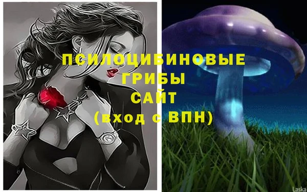 тгк Покров