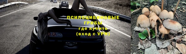 индика Приозерск