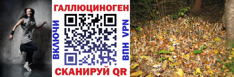 купить закладку  Семикаракорск  Псилоцибиновые грибы Psilocybine cubensis 